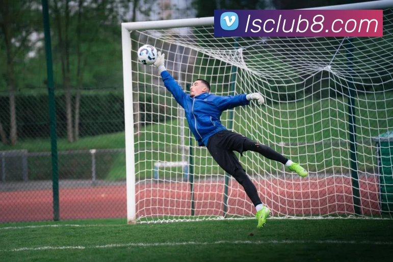 来胜娱乐城官网发展历程